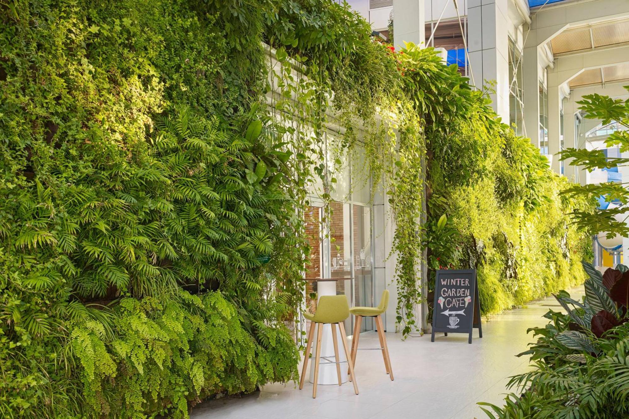 Paragraph Resort & Spa Shekvetili, Autograph Collection Eksteriør bilde Living wall